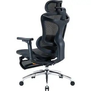 Крісло офісне Sihoo Doro C300L Mesh Black with footrest (Doro-C300L-A3-101-JT) UA