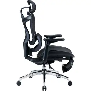 Крісло офісне Sihoo Doro C300L Mesh Black with footrest (Doro-C300L-A3-101-JT) UA