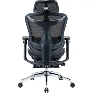 Крісло офісне Sihoo Doro C300L Mesh Black with footrest (Doro-C300L-A3-101-JT) UA