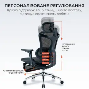 Крісло офісне Sihoo Doro C300L Mesh Black with footrest (Doro-C300L-A3-101-JT) UA