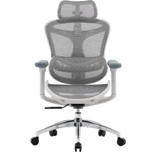 Крісло офісне Sihoo Doro C300L Mesh White DORO-C300L-A3-102) UA