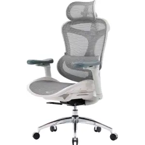Крісло офісне Sihoo Doro C300L Mesh White DORO-C300L-A3-102) UA