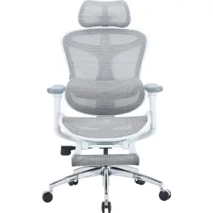 Крісло офісне Sihoo Doro C300L Mesh White with footrest (Doro-C300L-A3-102-JT) UA