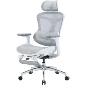 Кресло офисное Sihoo Doro C300L Mesh White with footrest (Doro-C300L-A3-102-JT) UA