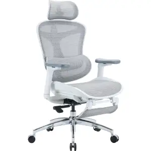 Кресло офисное Sihoo Doro C300L Mesh White with footrest (Doro-C300L-A3-102-JT) UA