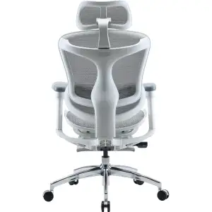 Кресло офисное Sihoo Doro C300L Mesh White with footrest (Doro-C300L-A3-102-JT) UA