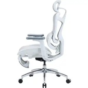 Кресло офисное Sihoo Doro C300L Mesh White with footrest (Doro-C300L-A3-102-JT) UA