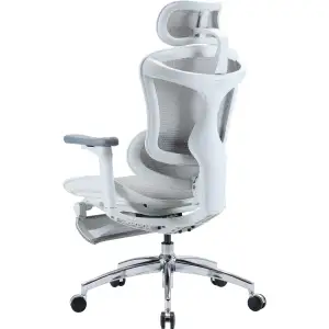 Кресло офисное Sihoo Doro C300L Mesh White with footrest (Doro-C300L-A3-102-JT) UA