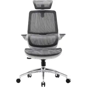 Крісло офісне Sihoo M59AS Mesh Gray (M59AS-M301) UA