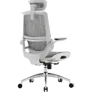 Кресло офисное Sihoo M59AS Mesh Gray (M59AS-M301) UA
