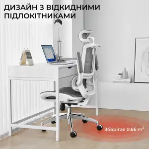 Кресло офисное Sihoo M59AS Mesh Gray (M59AS-M301) UA