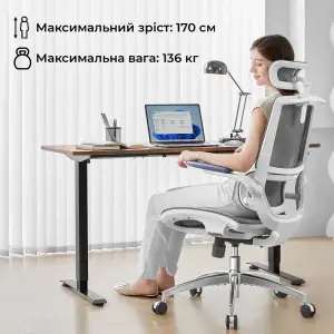 Кресло офисное Sihoo M59AS Mesh Gray (M59AS-M301) UA