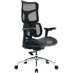 Крісло офісне Sihoo Doro S100 Mesh Black (S100-M301) UA