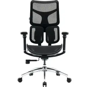Крісло офісне Sihoo Doro S100 Mesh Black (S100-M301) UA