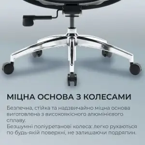 Крісло офісне Sihoo Doro S100 Mesh Black (S100-M301) UA