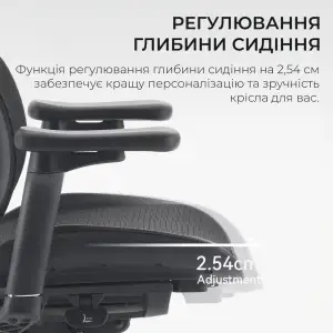 Крісло офісне Sihoo Doro S100 Mesh Black (S100-M301) UA