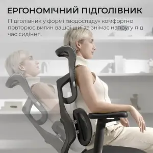 Крісло офісне Sihoo Doro S100 Mesh Black (S100-M301) UA