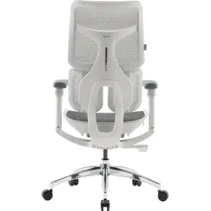 Крісло офісне Sihoo Doro S100 Mesh White (S100-M302) UA