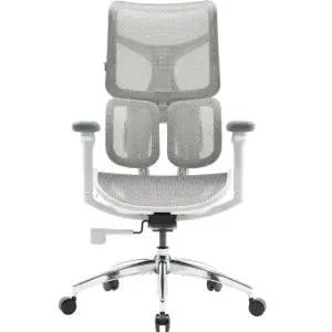 Кресло офисное Sihoo Doro S100 Mesh White (S100-M302) UA