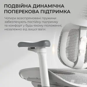 Кресло офисное Sihoo Doro S100 Mesh White (S100-M302) UA