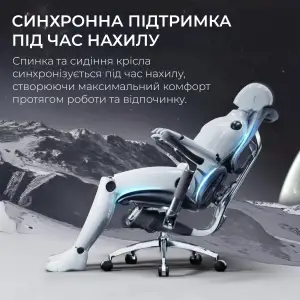 Крісло офісне Sihoo Doro S300 Mesh Dark Grey (S300-M201) UA