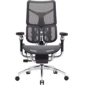 Крісло офісне Sihoo Doro S300 Mesh Dark Grey (S300-M201) UA