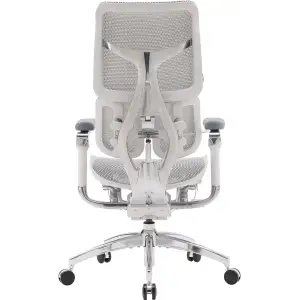 Кресло офисное Sihoo Doro S300 Mesh Light Grey (S300-M202) UA