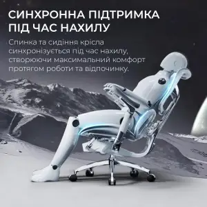 Крісло офісне Sihoo Doro S300 Mesh Light Grey (S300-M202) UA