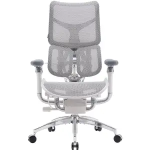Крісло офісне Sihoo Doro S300 Mesh Light Grey (S300-M202) UA
