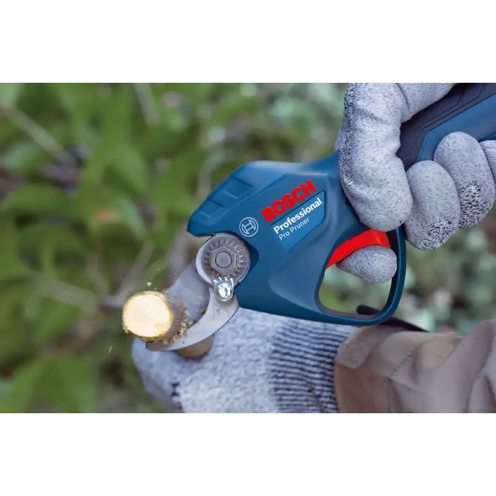 Секатор акумуляторный Bosch Professional Pruner 12В, 2х3Агод (0.601.9K1.021) UA