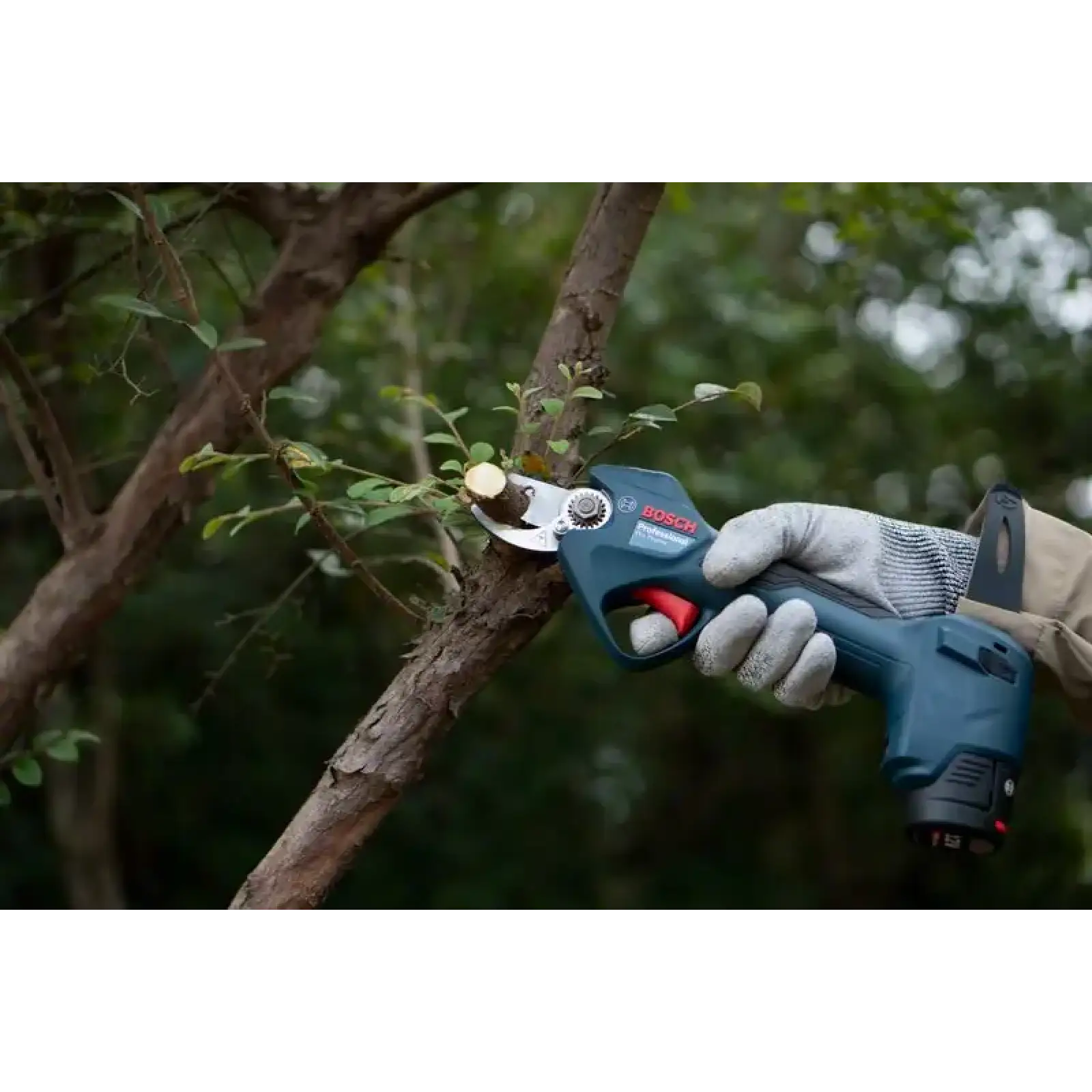 Секатор акумуляторный Bosch Professional Pruner 12В, 2х3Агод (0.601.9K1.021) UA