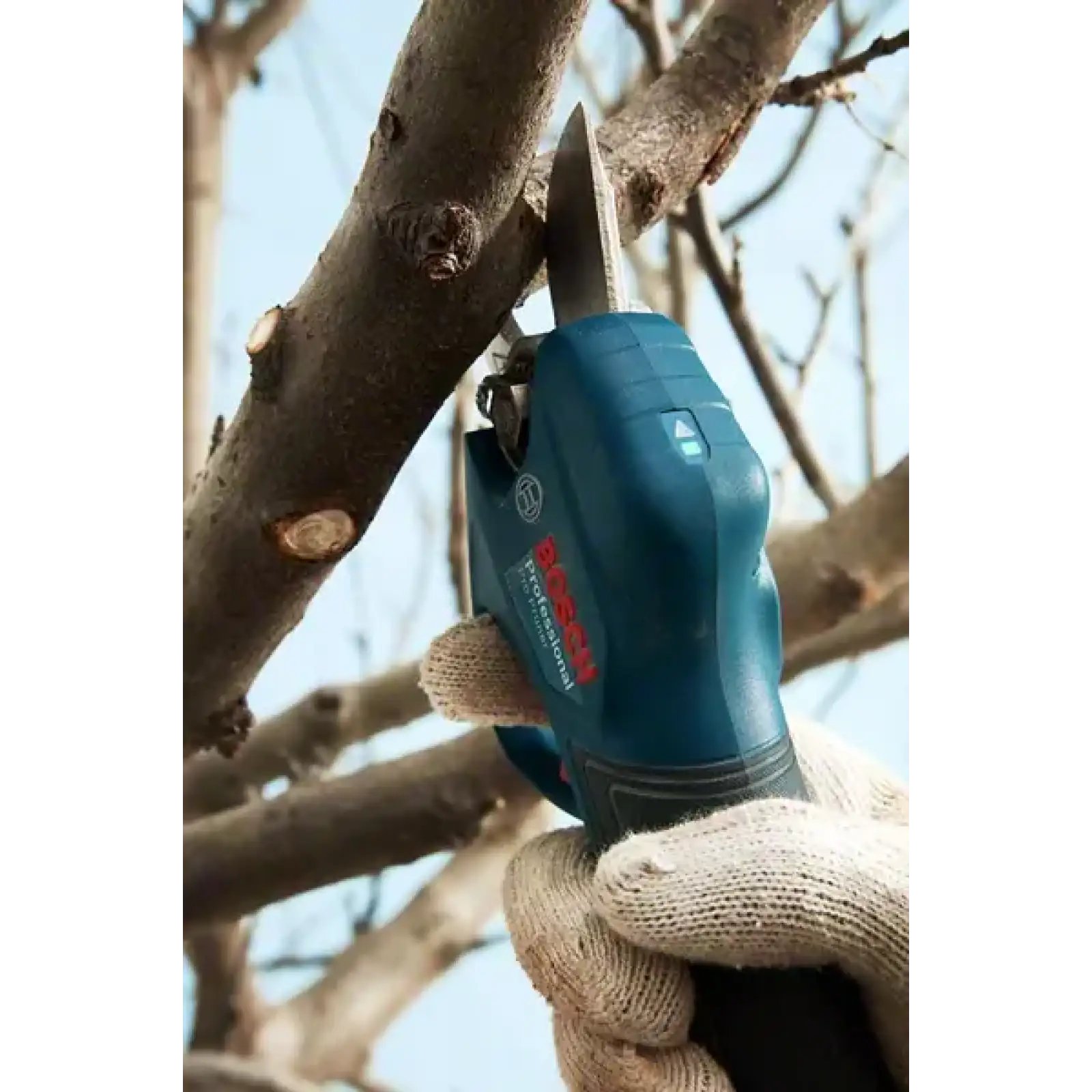 Секатор акумуляторный Bosch Professional Pruner 12В, 2х3Агод (0.601.9K1.021) UA