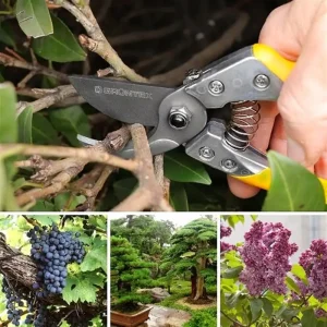 Секатор Gruntek Phoenix 200 мм (295200018) UA