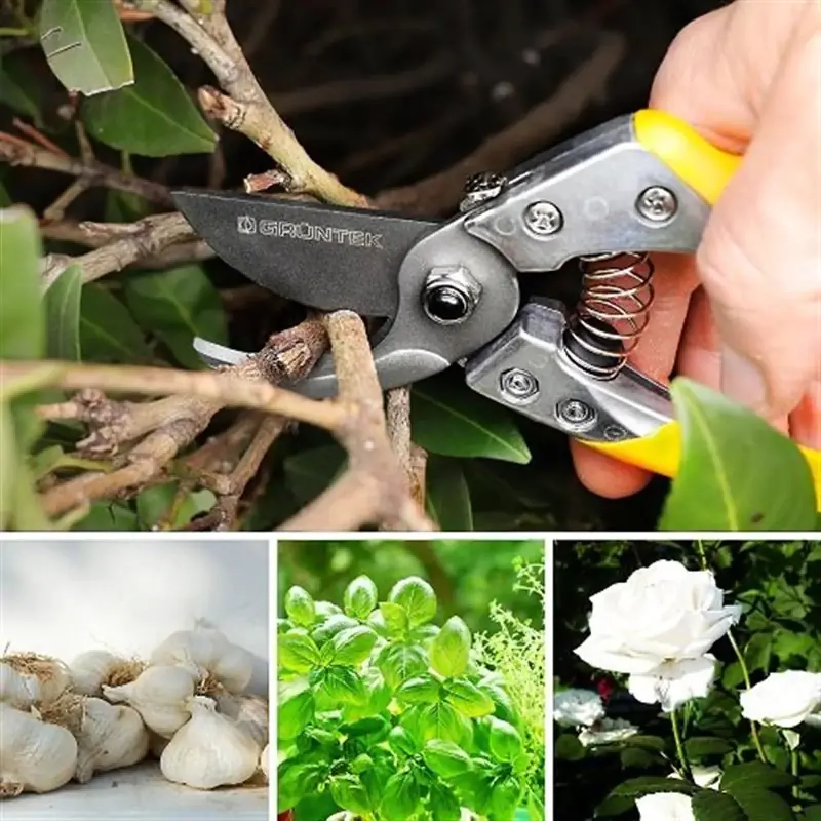 Секатор Gruntek Phoenix 200 мм (295200018) UA