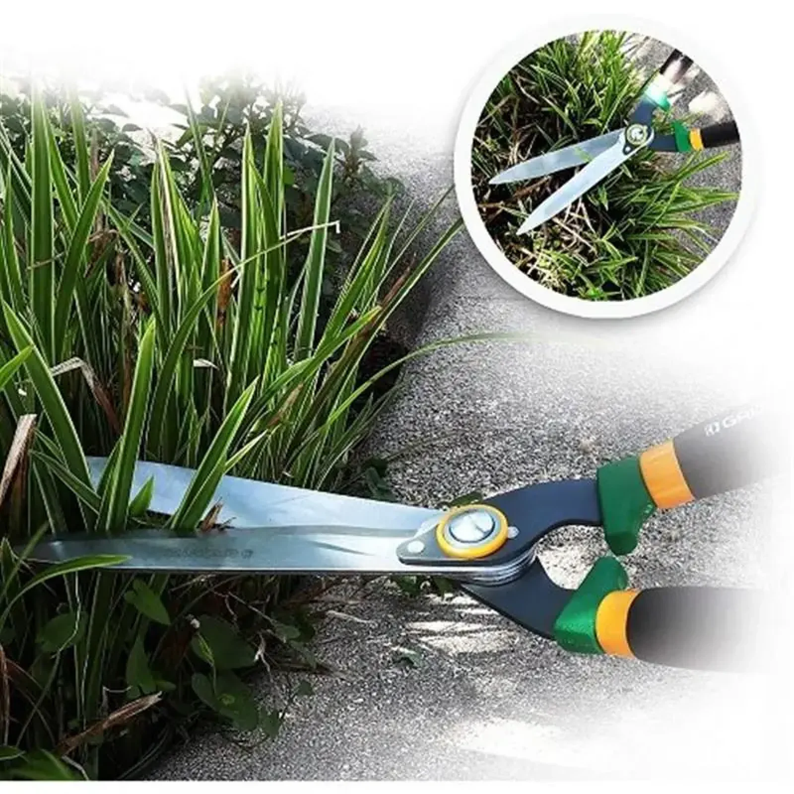 Ножницы для живой изгороди Gruntek Panthera 640х230 мм (295304530) UA