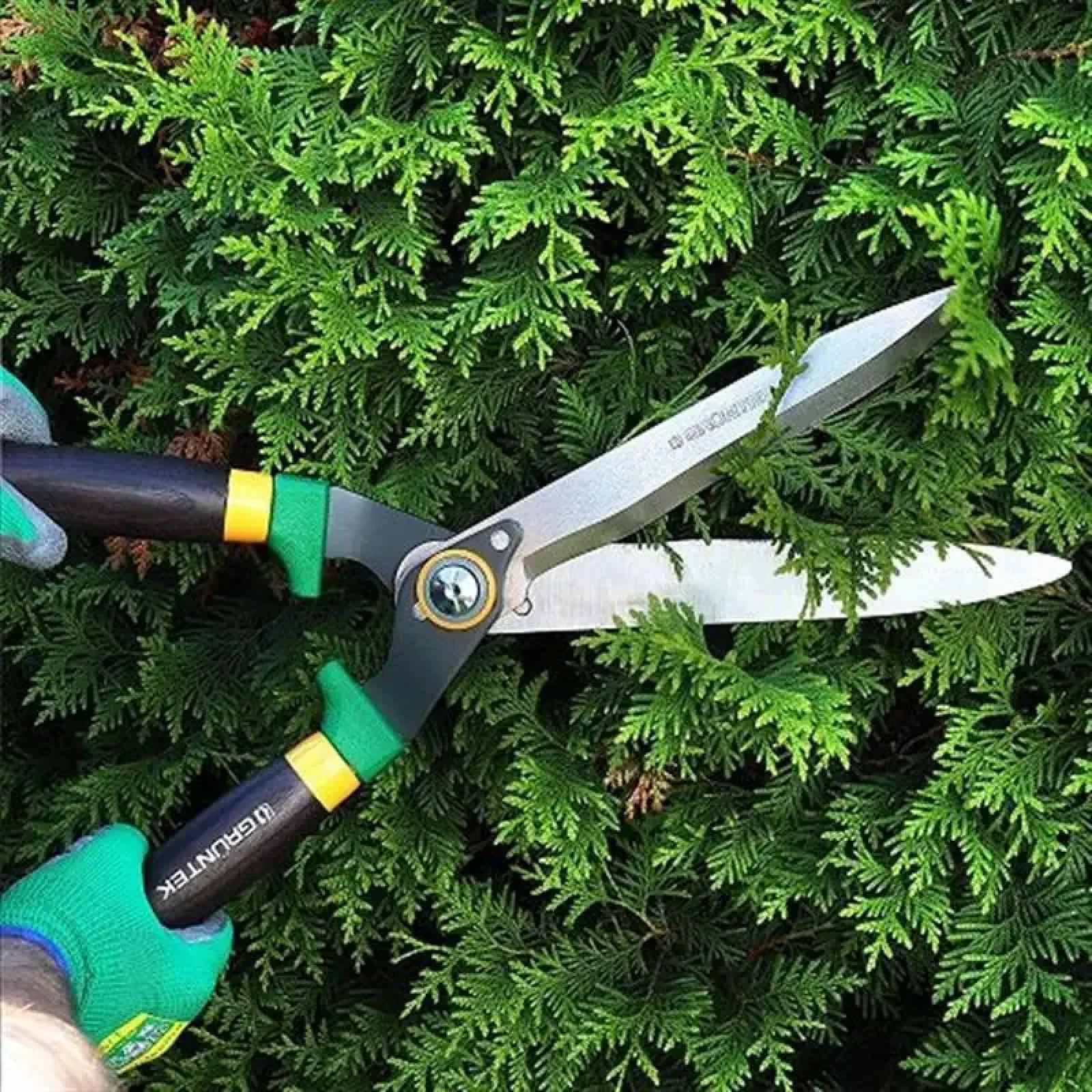 Ножницы для живой изгороди Gruntek Panthera 640х230 мм (295304530) UA