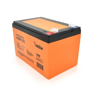 Аккумуляторная батарея Merlion 12V 12AH (6-DZM-12F2/04392) AGM UA