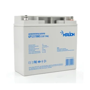 Аккумуляторная батарея Merlion 12V 17AH (GP12170M5/05999) AGM UA
