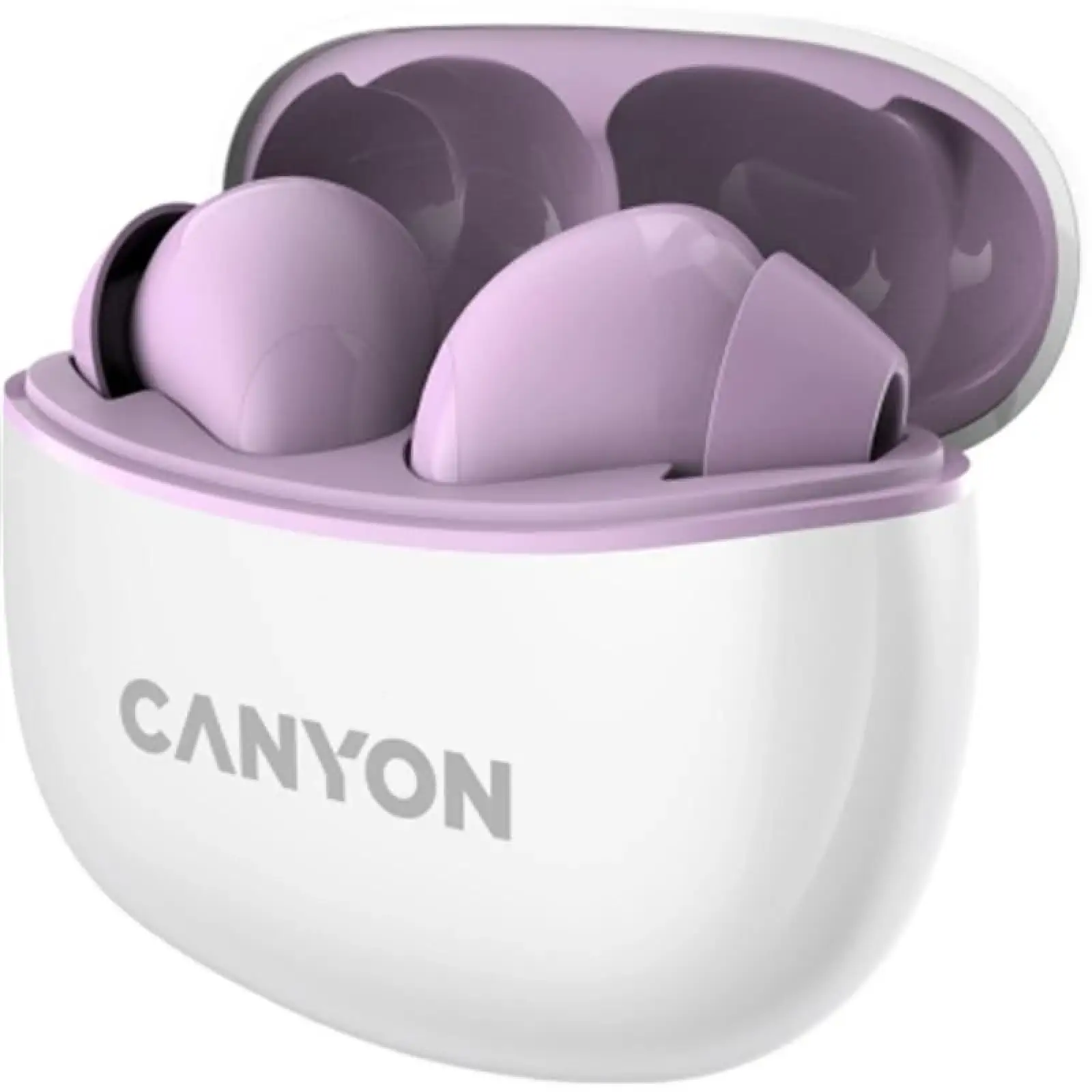 Bluetooth-гарнитура Canyon TWS-5 Purple (CNS-TWS5PU) UA