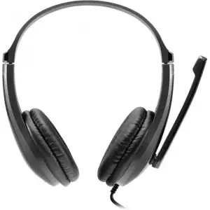 Гарнитура Canyon CHSU-1 USB Black (CNS-CHSU1B) UA