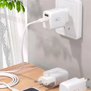 Зарядний пристрій SkyDolphin SC22EBL (2USB, 2.1A) White (MZP-000162) + кабель Lightning UA