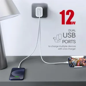 МЗП Intaleo TCG242 (2USB, 2.4A) White (1283126578281) UA