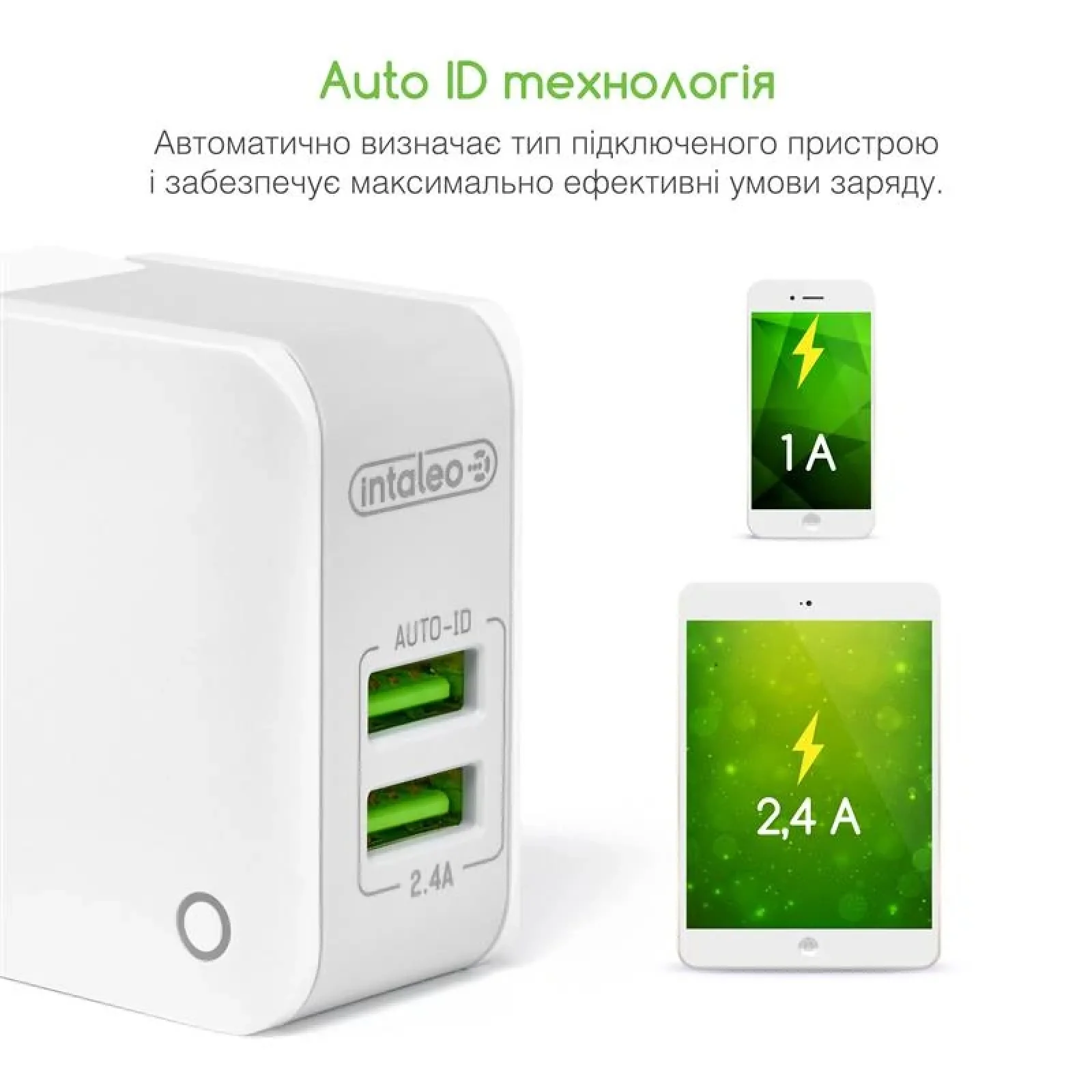 МЗП Intaleo TCA242 (2USB, 2.4A) White UA