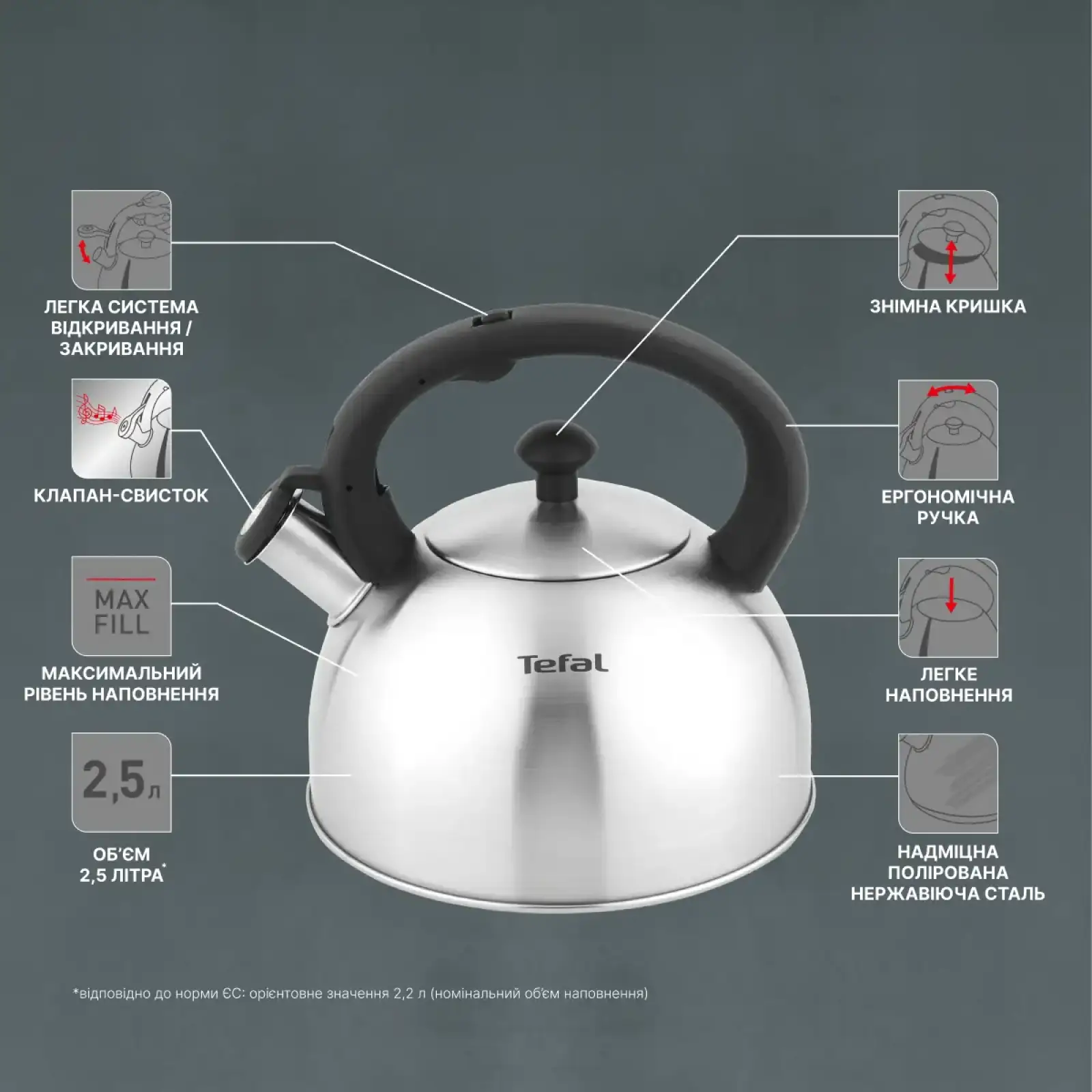Чайник Tefal Duetto+ 2.5 л (N4210310) UA