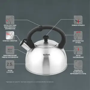 Чайник Tefal Duetto+ 2.5 л (N4210310) UA