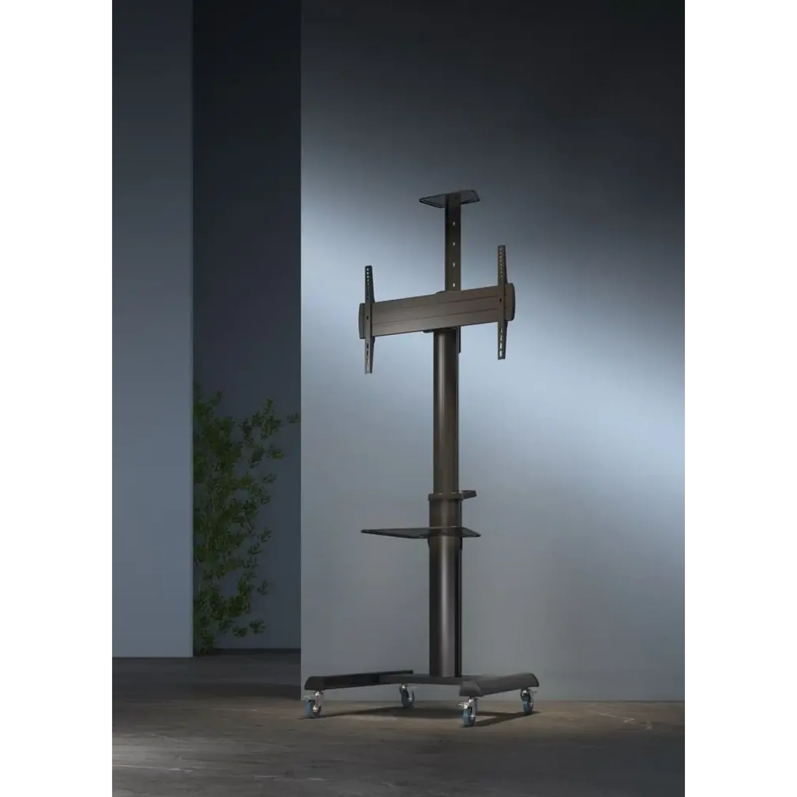 Кронштейн Gembird TVS-70T-02 (VESA600х400) UA