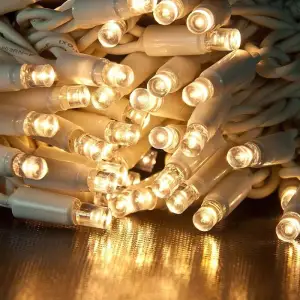 Світлодіодна гірлянда ColorWay (CW-GO-100L10WW) 100LED, 10м, тепле біле світло UA