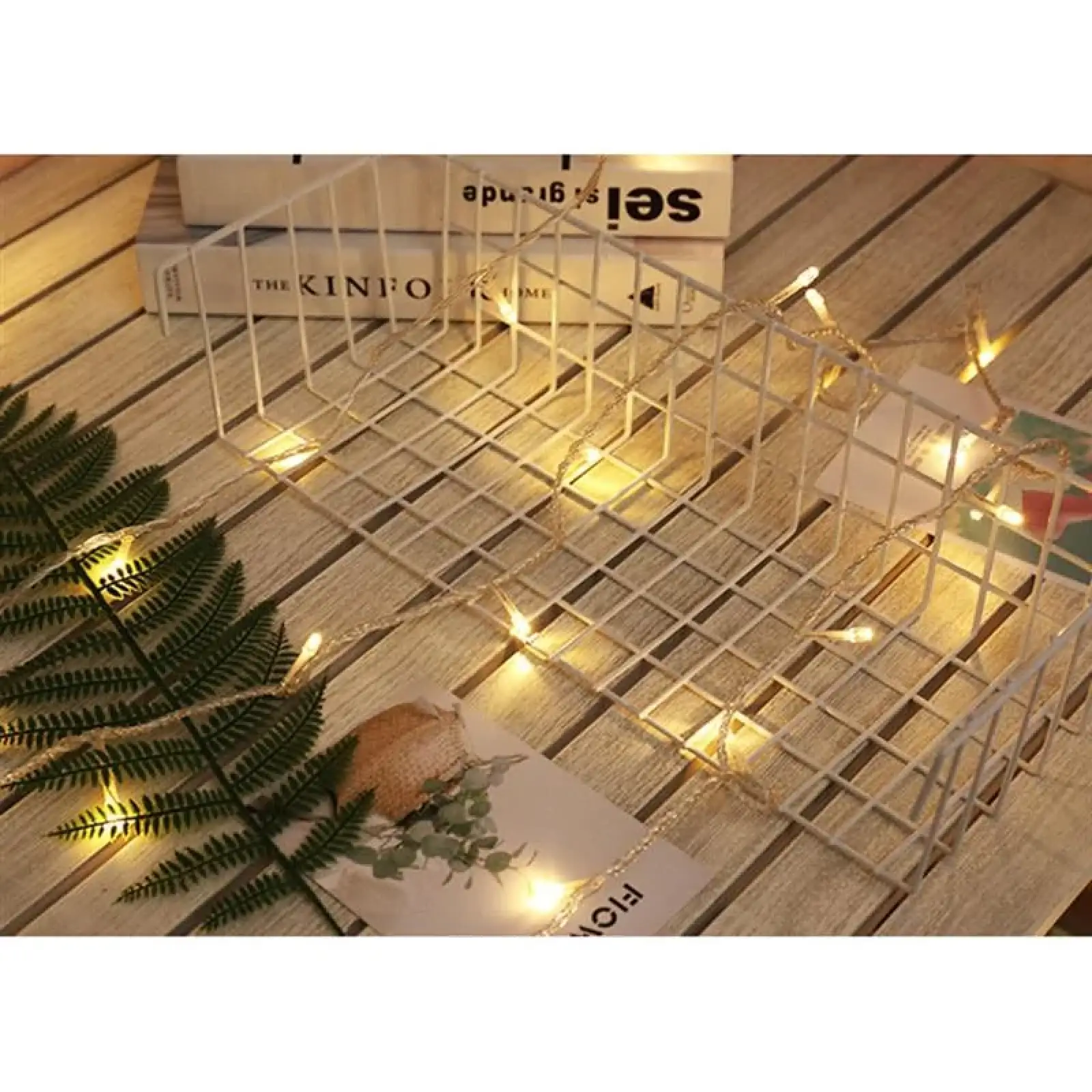 Світлодіодна гірлянда ColorWay (CW-G-100L10U) 100LED, 10м, 8 функцій, теплий колір, 220V UA