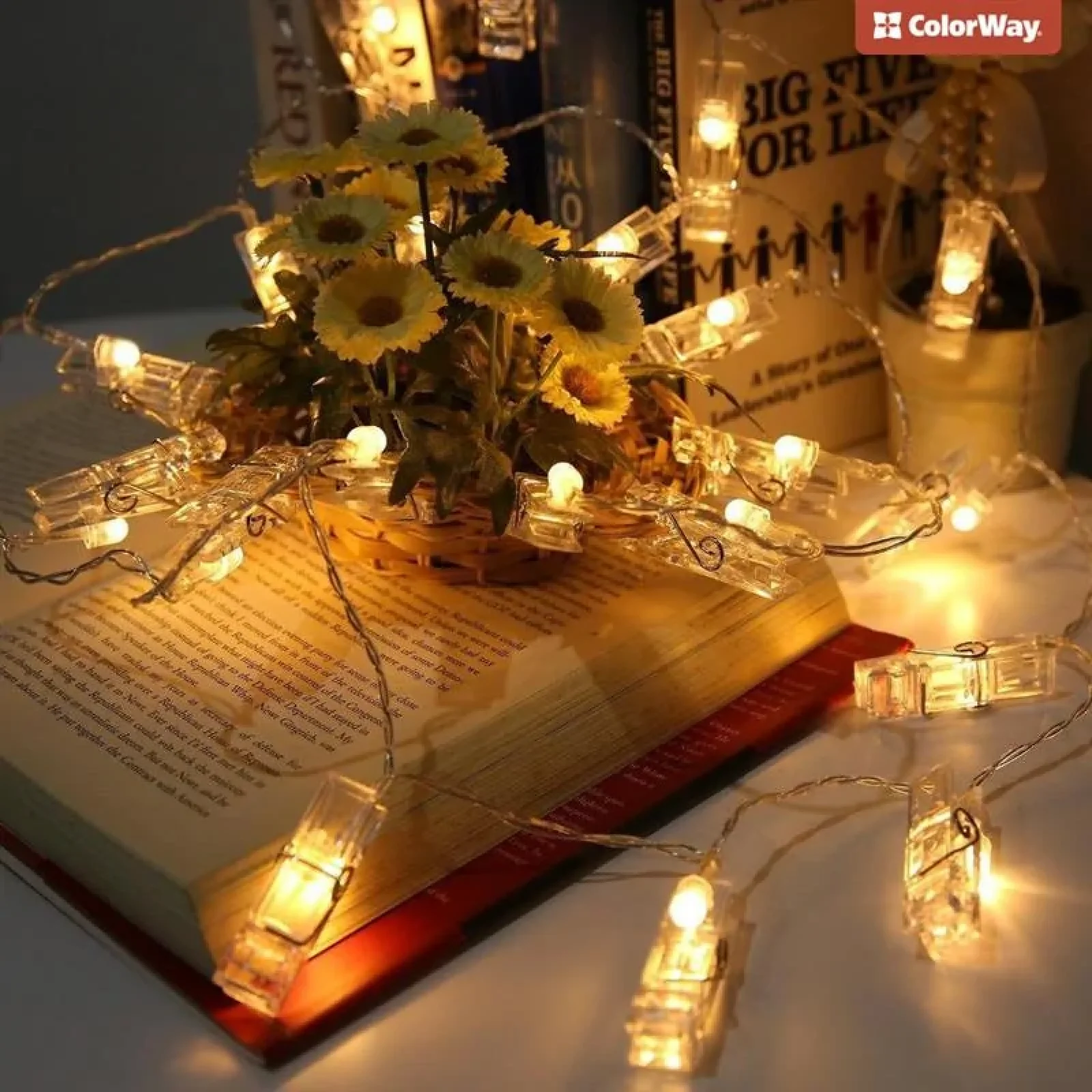 Світлодіодна гірлянда ColorWay (CW-LCP-40L42BU) 40LED, 4.2м, з прищіпками для фото, USB UA