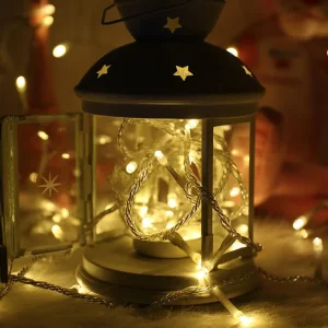 Світлодіодна гірлянда ColorWay (CW-G-50L5V) 50LED, 5м, 8 функцій UA